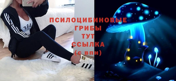 2c-b Белокуриха