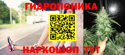 молекула духа Ливны