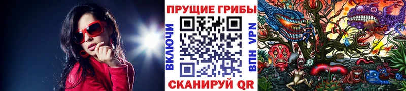 Псилоцибиновые грибы Magic Shrooms  Вязники 