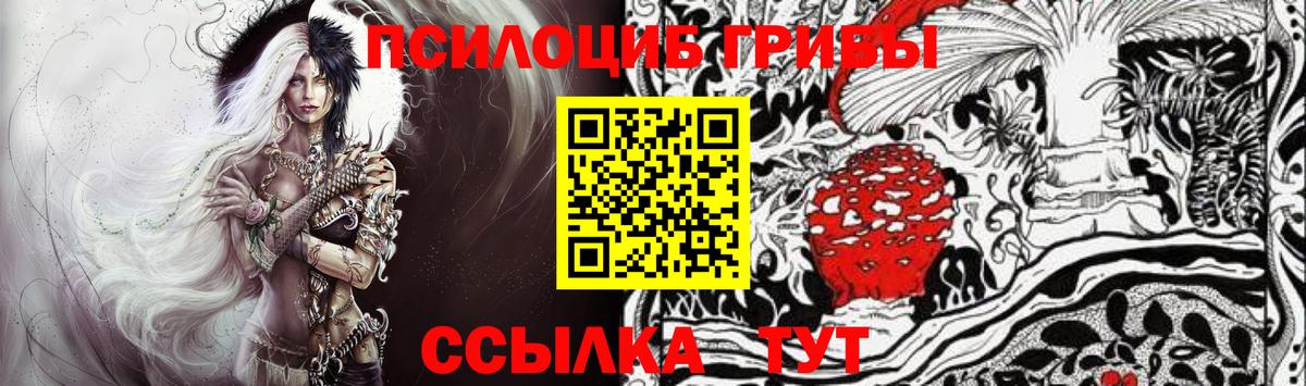 Псилоцибиновые грибы прущие грибы  Вход с VPN  Псилоцибиновые грибы ЛСД  Вязники 